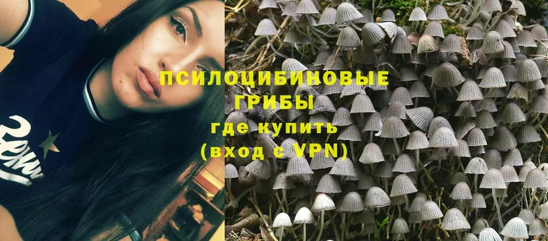 Галлюциногенные грибы MAGIC MUSHROOMS  Карабаново 